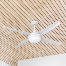 Clare AC Ceiling Fan with Light Kit